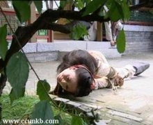 杨蓉