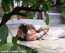 杨蓉
