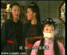 袁立（袁莉）