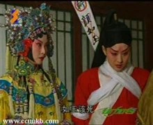 马伊琍