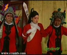 马伊琍
