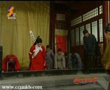 马伊琍