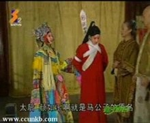 马伊琍