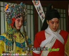 马伊琍