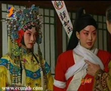 马伊琍