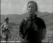 秦怡