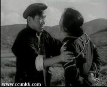 秦怡