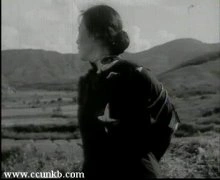 秦怡