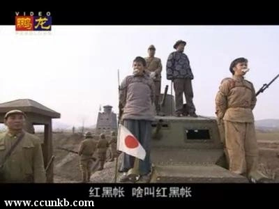 史兰芽,王琦