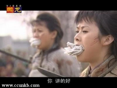 史兰芽,王琦