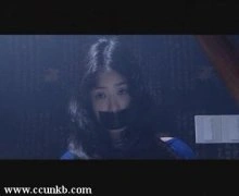 蒋欣*