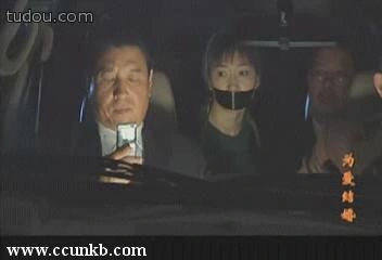 李小冉