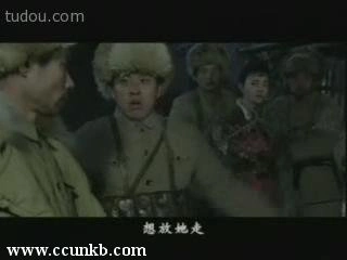 杨梅
