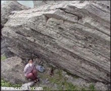 吴姗姗