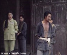杜向慧