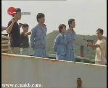 马伊琍
