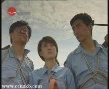 马伊琍