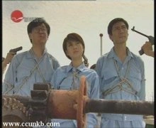马伊琍