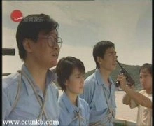 马伊琍
