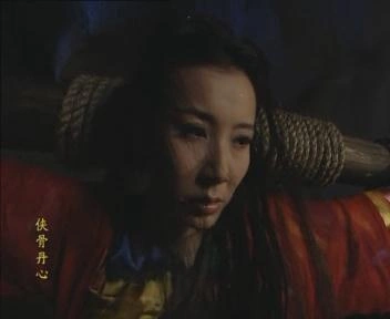 侠骨丹心
