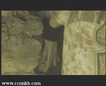 陶虹