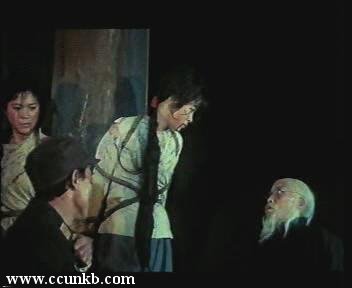 李小婉，张跃平