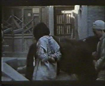 小骑兵
