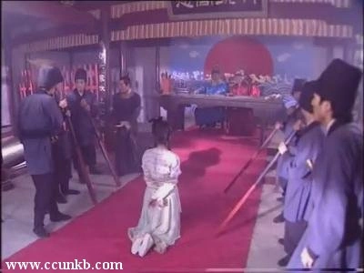 杨若兮
