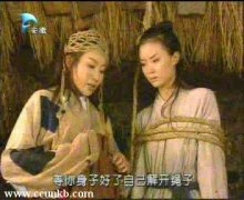 王艳*