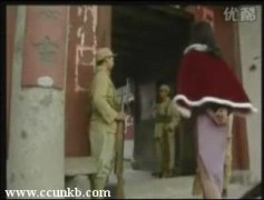 毛婷婷