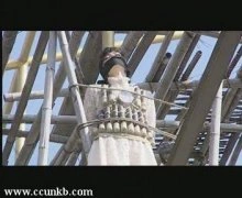 童蕾