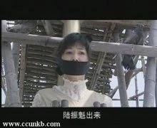 童蕾