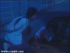 佚名