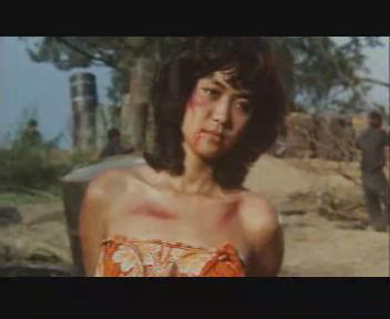 英雄无泪（同名）