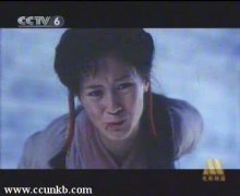 贾永红