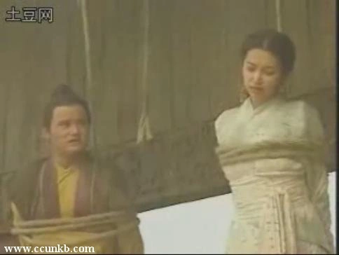 李冰冰