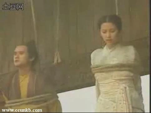 李冰冰
