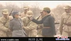 郑亦桐