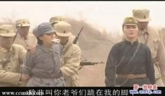 郑亦桐