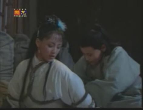 仗义飞狐（又名：新长白英雄传）