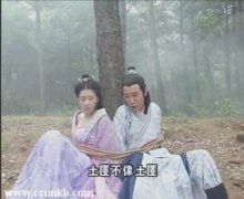贾静雯