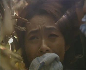 中关村风云
