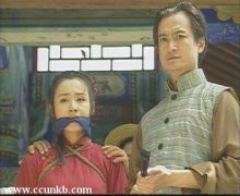 中华英豪（又名：中华第一保镖杜心武传