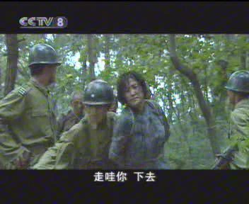 中原突围