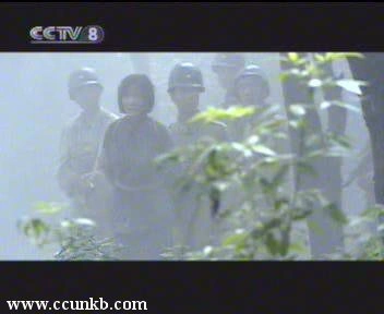 王亚君