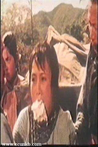 白杨
