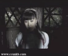 王雅捷*