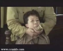 范艳