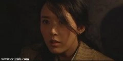 颜丹晨*
