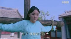 杨幂